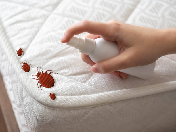 Pest Control for Restaurants in Olivet, MI