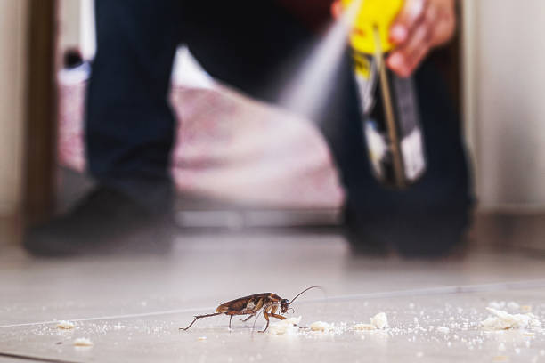 Best Wildlife Control Services  in Olivet, MI