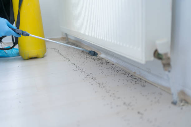 Best Pest Control Treatment  in Olivet, MI