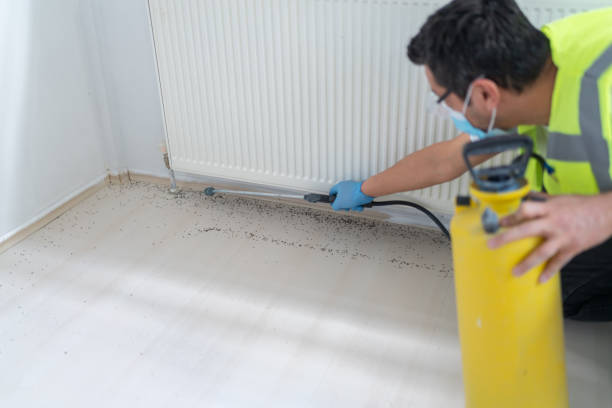 Best Residential Pest Control  in Olivet, MI