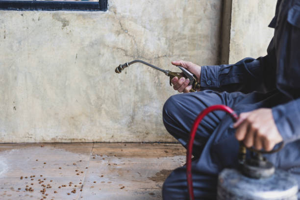 Best Pest Control for Businesses  in Olivet, MI