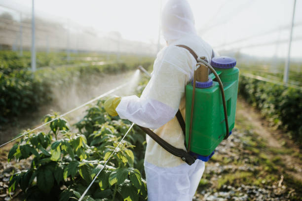 Best Mosquito Control Services  in Olivet, MI